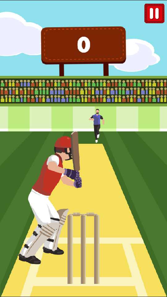 Pro Cricket Champion